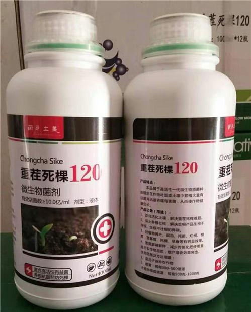 【鱼腥草黄叶烂茎白绢病治疗用药管理措施】- 