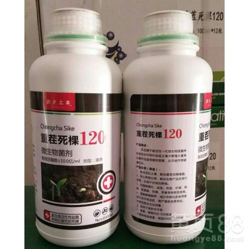 【浙江白掌病害的防控与防治的药剂】- 