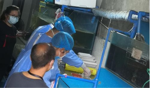 重庆市长寿区卫生健康委员会组织开展进口食品新型冠状病毒监测工作