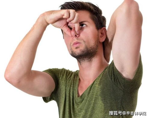用它擦一擦,可以调理夏天很多人为之烦恼的腋臭